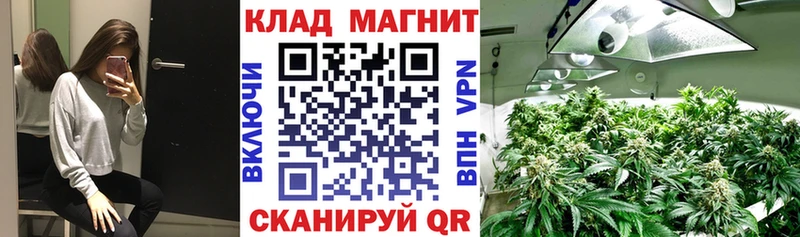 Хочу наркоту Курчатов Бошки Шишки  Меф  ГАШИШ 
