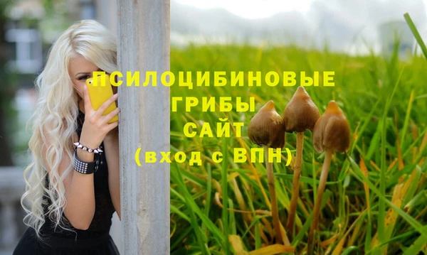 apvp Абаза
