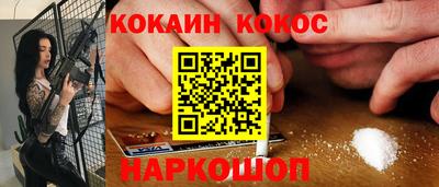 стафф Кингисепп