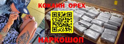 стафф Кингисепп