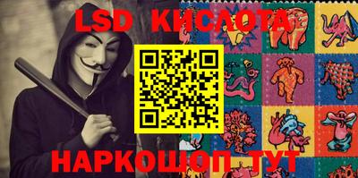 стафф Кингисепп