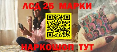 стафф Кингисепп