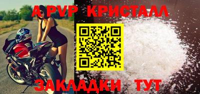 стафф Кингисепп