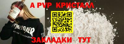 стафф Кингисепп