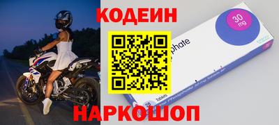 стафф Кингисепп