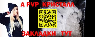 стафф Кингисепп