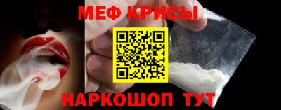 стафф Кингисепп