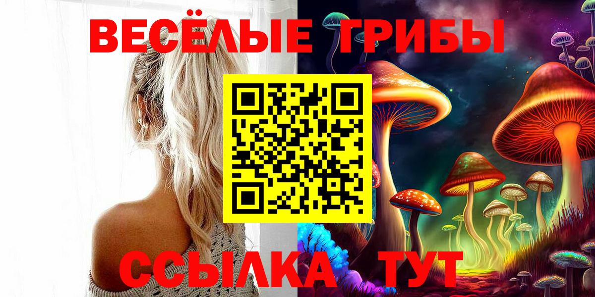 Курчатов  Галлюциногенные грибы прущие грибы  Вход с VPN 