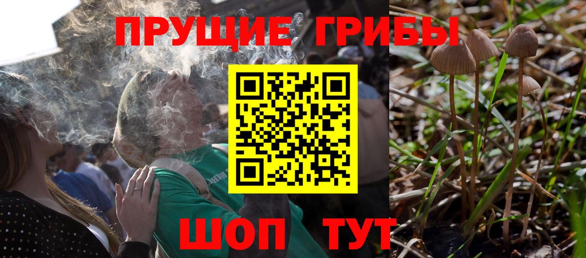 ЭКСТАЗИ  Гашиш  Конопля  МЕТАМФЕТАМИН  Вход с VPN  Гашиш  Alpha PVP СОЛЬ   Курчатов  Меф МЯУ МЯУ  